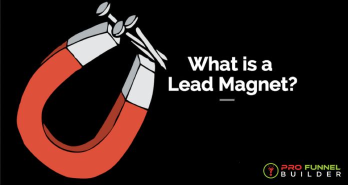 What Is the Lead Magnet?